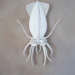 Wall hanger squid